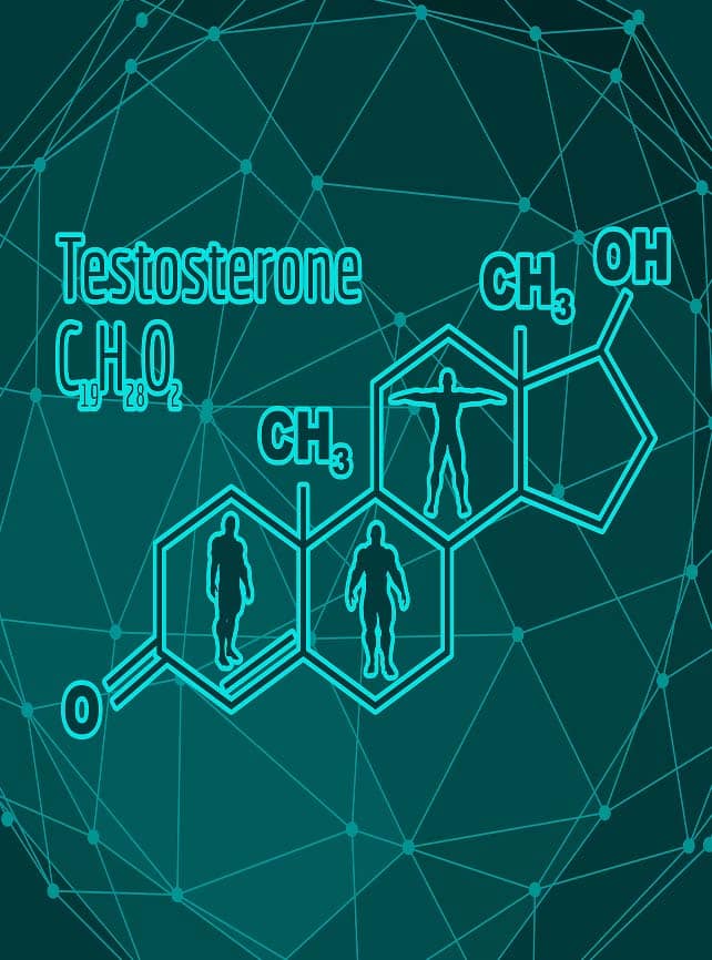 Facts About Testosterone